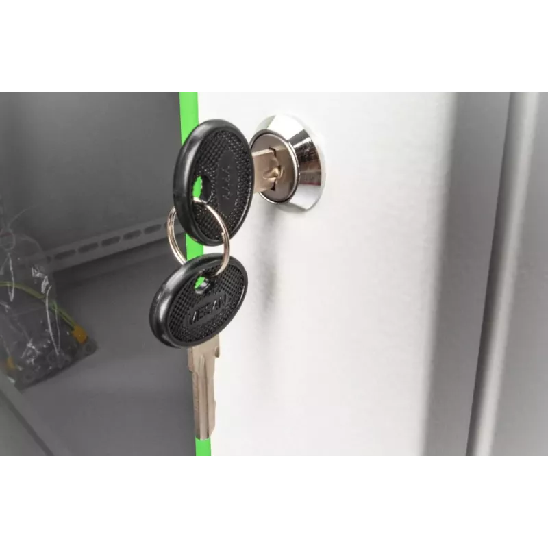 Locking Key Digitus DN-DVR-1 Black Silver 48.3 cm 2 pcs