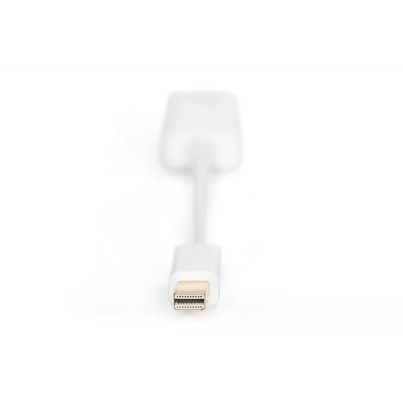 DIGITUS ASSMANN DisplayPort adapter cable, mini DP - HDMI type A M/F, 15cm DP 1.1a compatible, CE white