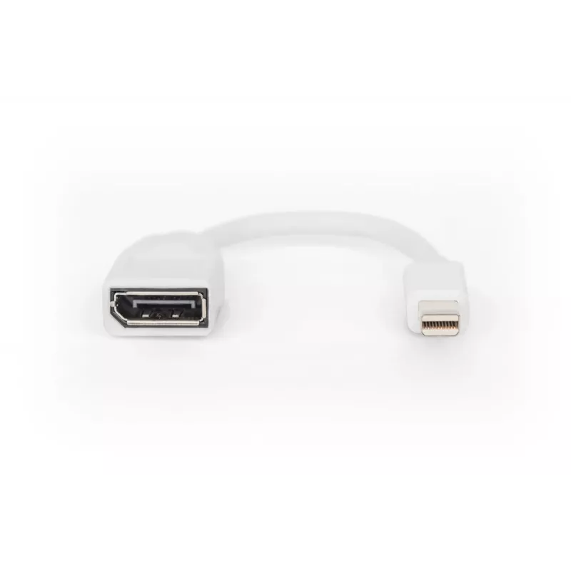 DIGITUS DisplayPort adapter cable, mini DP - DP M/F, 0.15m, DP 1.2 conform, white