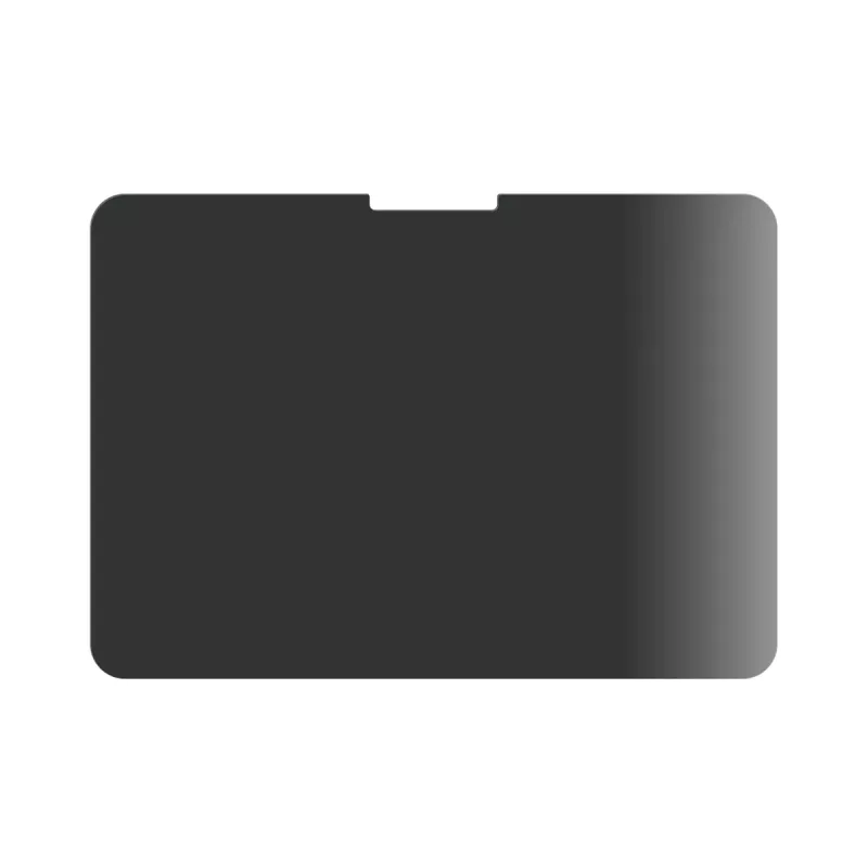PanzerGlass ® Privacy Screen Protector ® iPad Pro 11'' (2024-2025) | Ultra-Wide Fit