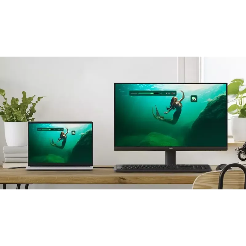 DELL SE2425HM computer monitor 60.5 cm (23.8 inch) 1920 x 1080 pixels Full HD LCD Black