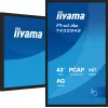 iiyama T4329AS-B1AG computer monitor 108 cm (42.5 inch) 3840 x 2160 pixels 4K Ultra HD LED Touchscreen Black