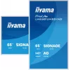 iiyama LH6581UHSG-1AG Signage Display Digital signage flat panel 163.8 cm (64.5 inch) Wi-Fi 500 cd/m² 4K Ultra HD White Built-in processor Android 24/7
