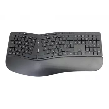 Conceptronic ORAZIO ERGO Wireless Ergonomic Keyboard & Mouse Kit, German layout
