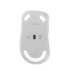 ASUS Wireless MD102 mouse Universal Right-hand RF Wireless + Bluetooth Optical 1600 DPI