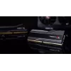 DIMM 32 GB DDR5-6000 (2x 16 GB) Dual-Kit, Arbeitsspeicher schwarz, F5-6000J3636F16GX2-TZ5NR, Trident Z NEO RGB, AMD EXPO