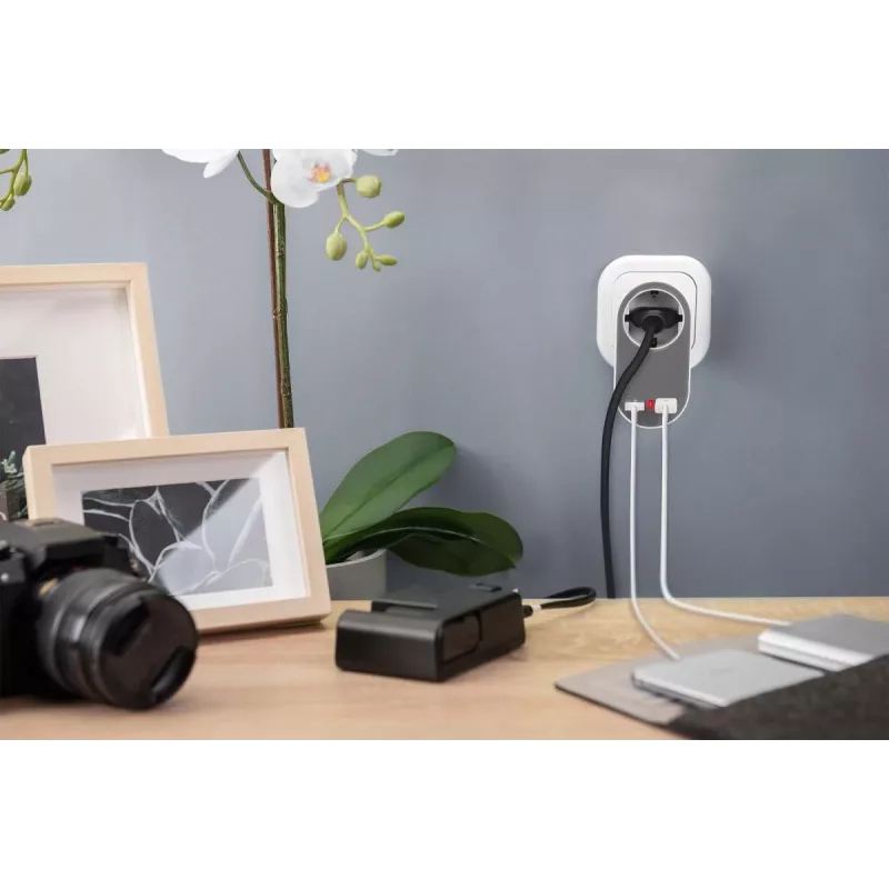 DIGITUS Power Adapter with 2 USB Ports 250V, 50 Hz, USB: 5V, 2.1A, white / grey