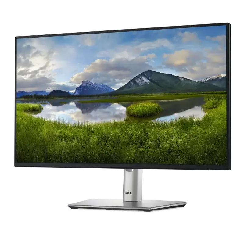 DELL Pro Plus P2425HE computer monitor 60.5 cm (23.8 inch) 1920 x 1080 pixels Full HD LCD Black