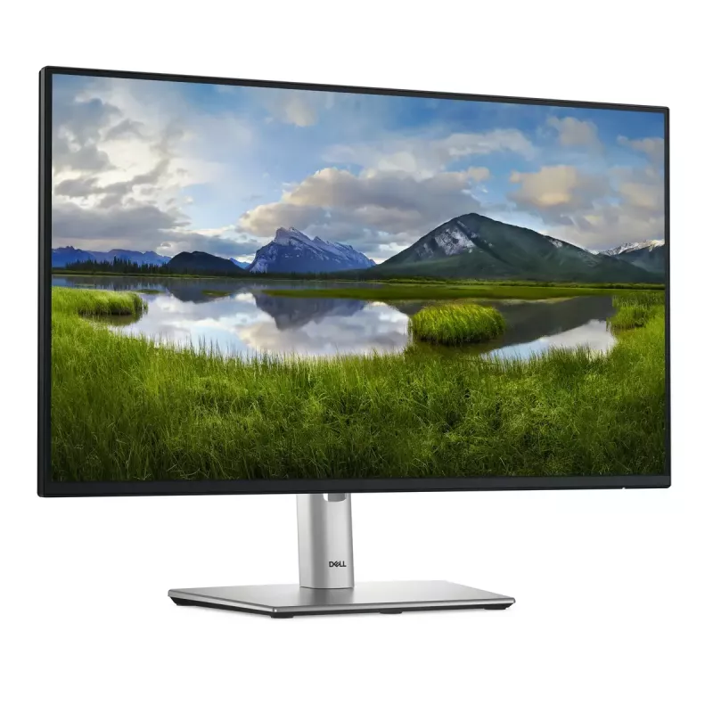 DELL Pro Plus P2425HE computer monitor 60.5 cm (23.8 inch) 1920 x 1080 pixels Full HD LCD Black