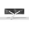 Neomounts DS70-250WH2 Monitor arm 17-32 inch - gas spring - Topfix - 180°-stop