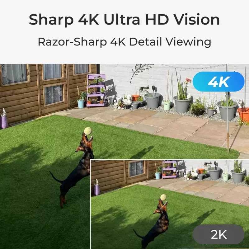 IP Security Camera Reolink P330 4K UHD