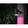 Philips Hue White and colour ambience Lily Outdoor spot light