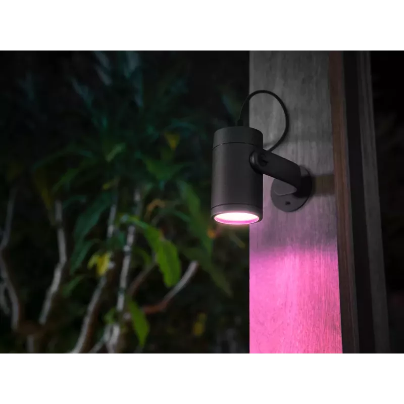 Philips Hue White and colour ambience Lily Outdoor spot light