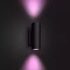 Outdoor wall lighting Philips Hue White and colour ambience Appear