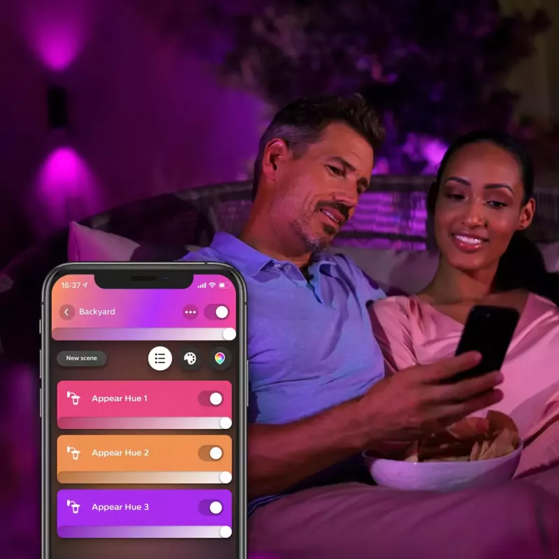 Outdoor wall lighting Philips Hue White and colour ambience Appear