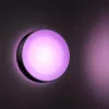 Outdoor wall lighting Philips Hue White and colour ambience Daylo