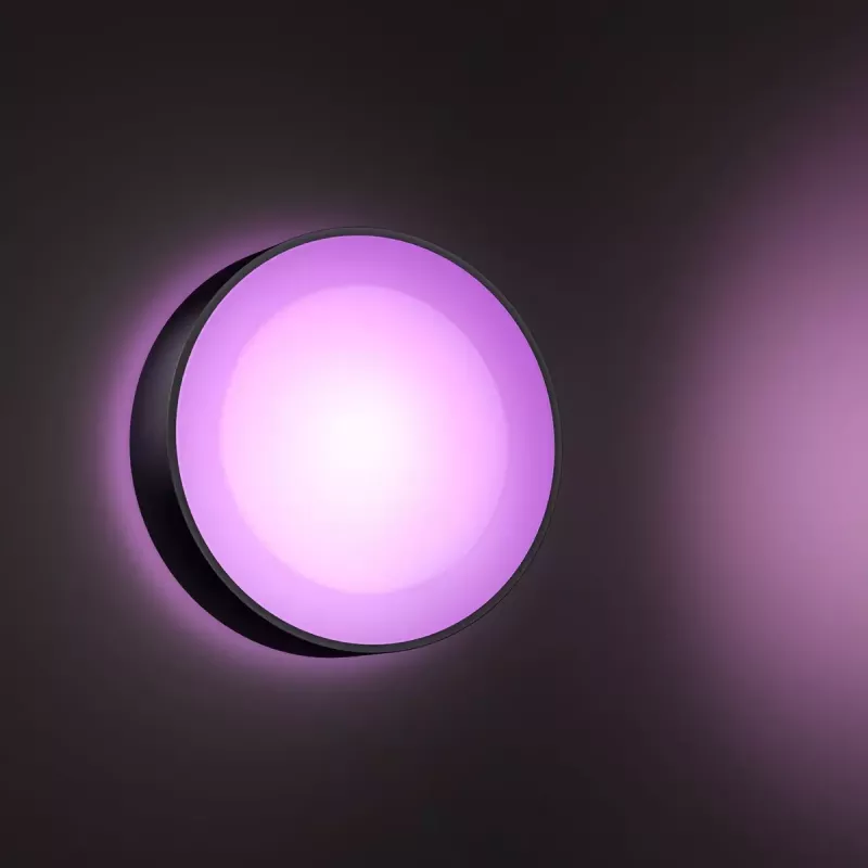 Outdoor wall lighting Philips Hue White and colour ambience Daylo