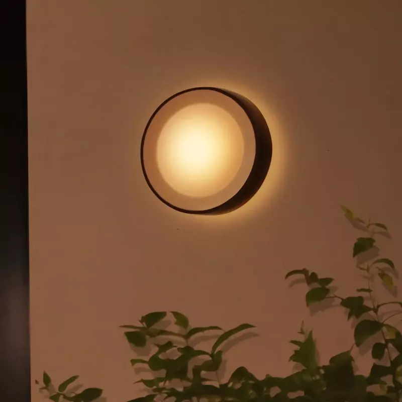 Outdoor wall lighting Philips Hue White and colour ambience Daylo