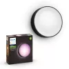 Outdoor wall lighting Philips Hue White and colour ambience Daylo