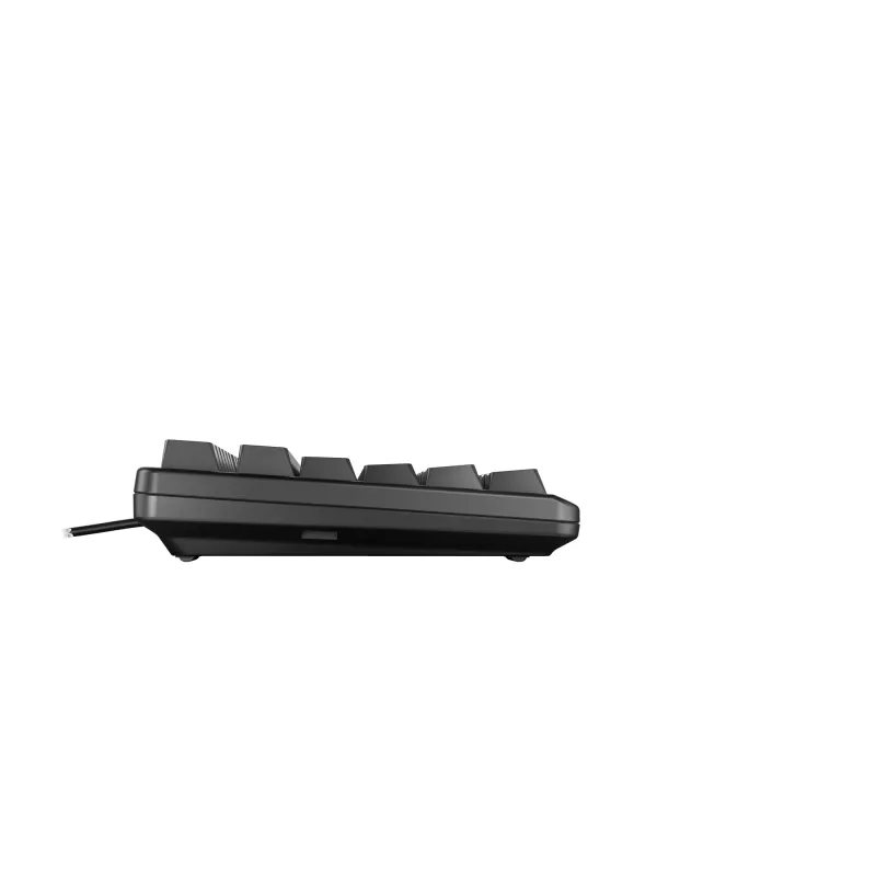 CHERRY G80-3000N RGB TKL keyboard Universal USB QWERTZ German Black
