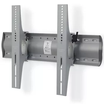 ERGOTRON Tm Tilting Wall Mount (silver) (61-142-003)