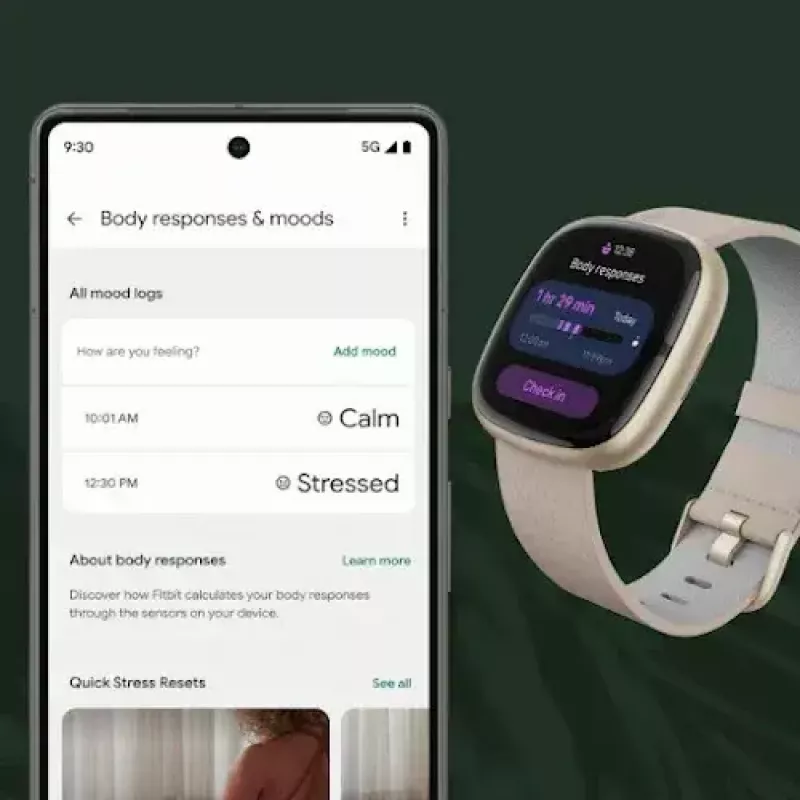 Smartwatch Fitbit Sense 2