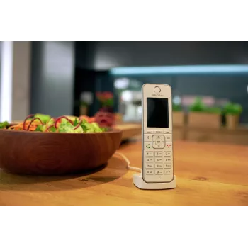 Fon FRITZ C6 DECT telephone Caller ID White