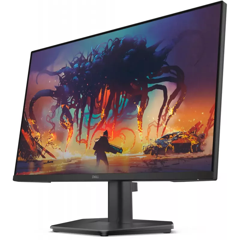 DELL SE2425HG computer monitor 61 cm (24 inch) 1920 x 1080 pixels Full HD LCD Black