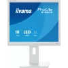 iiyama ProLite B1980S-W1 computer monitor 48.3 cm (19 inch) 1280 x 1024 pixels SVGA LED White