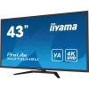 iiyama ProLite X4373UHSU-B1 computer monitor 108 cm (42.5 inch) 3840 x 2160 pixels 4K Ultra HD Black