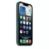 Apple Silicone Case iPhone 16e Lake Green