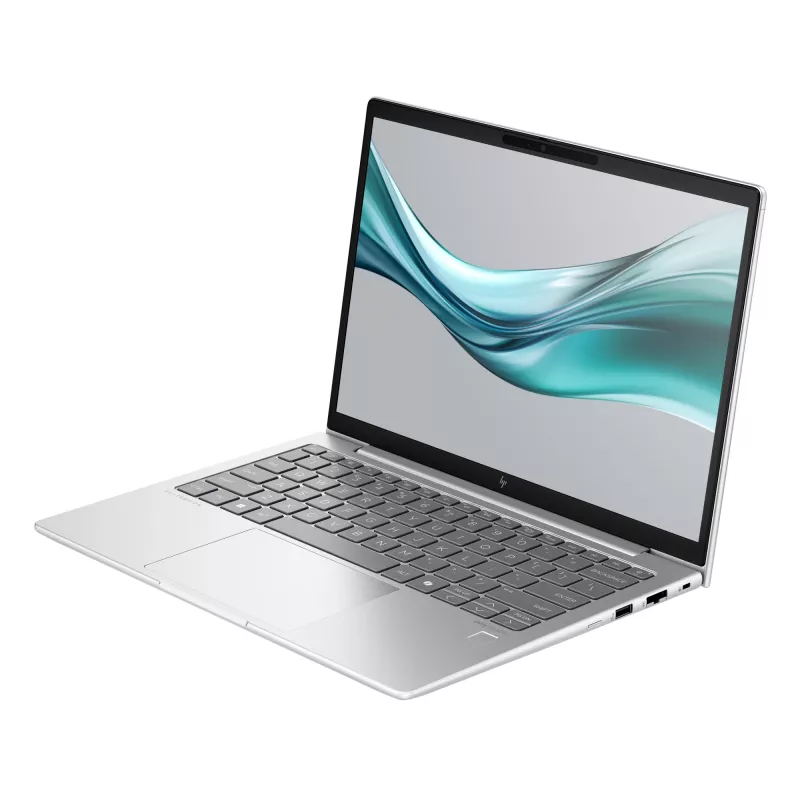 HP EliteBook G11 Intel Core Ultra 5 125U Laptop 33.8 cm (13.3 inch) WUXGA 8 GB DDR5-SDRAM Wi-Fi 6E (802.11ax) Windows 11 Pro AI PC Silver