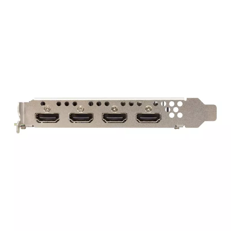 Graphics Card Sparkle Intel Arc A310 OMNI View — 4 GB GDDR6, 2000 MHz, PCIe 4.0 x8