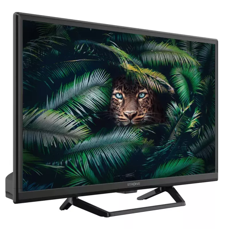 Television Strong SRT 24HE4023C 24 inch HD LCD 1366 x 768