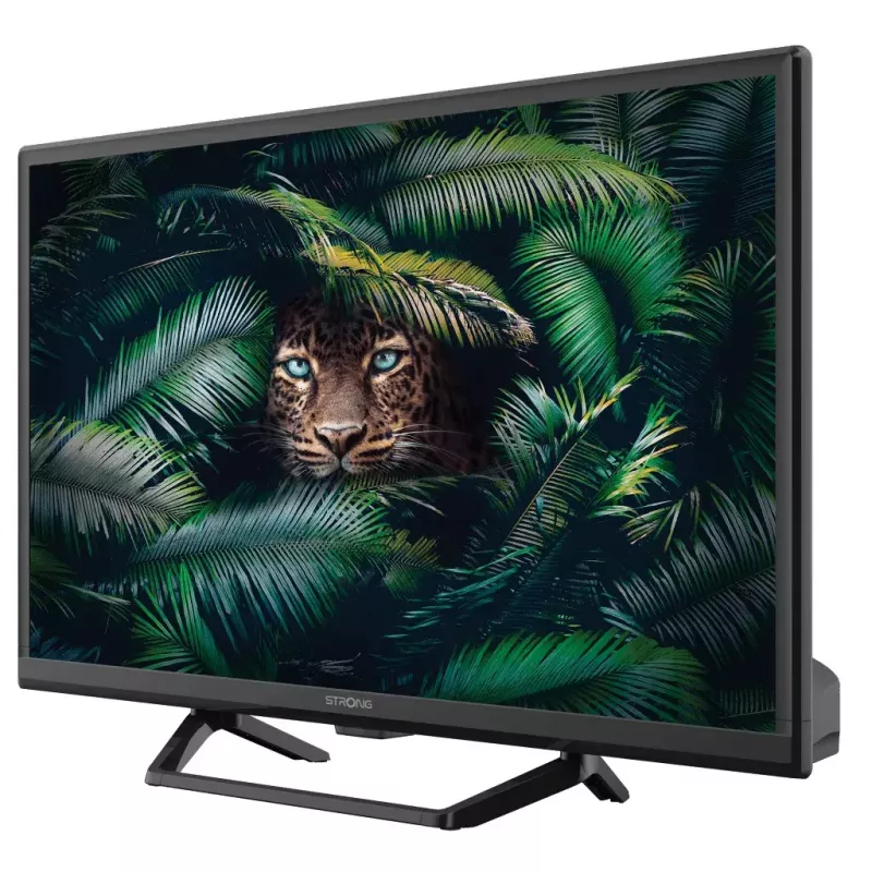 Television Strong SRT 24HE4023C 24 inch HD LCD 1366 x 768