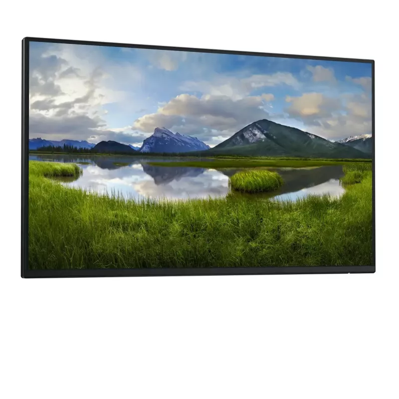 DELL Pro Plus P2425HE_WOST computer monitor 61 cm (24 inch) 1920 x 1080 pixels Full HD LCD Black