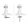 Neomounts DS65S-950WH2 Monitor arm 24-34 inch - gas spring - Topfix - multi-adjustable - 180°-stop