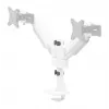 Neomounts DS65S-950WH2 Monitor arm 24-34 inch - gas spring - Topfix - multi-adjustable - 180°-stop
