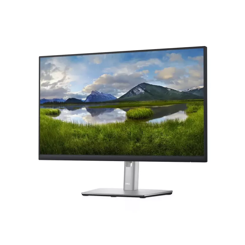 Monitor DELL P Series P2422H 23.8 inch Full HD LCD 1920 x 1080