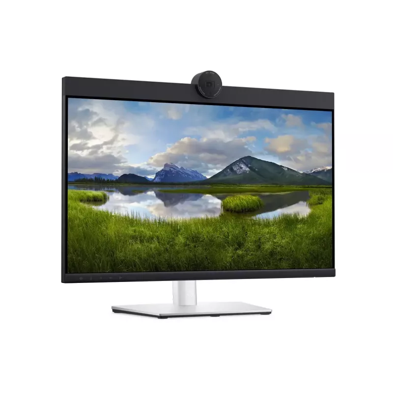 DELL P2424HEB 60.5 cm (23.8 inch) LCD 1920 x 1080 pixels Full HD
