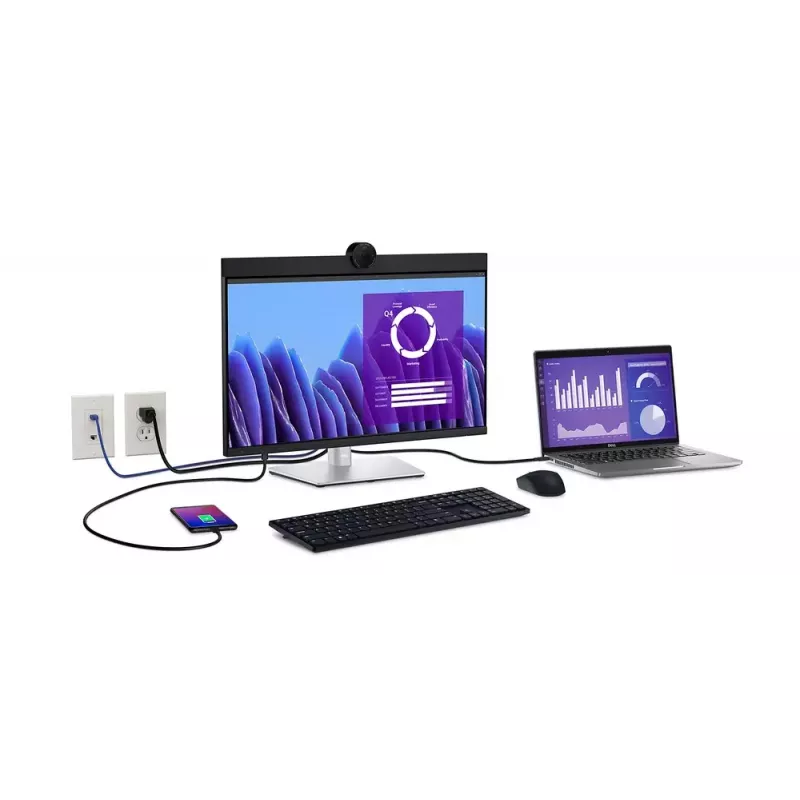 DELL P2424HEB 60.5 cm (23.8 inch) LCD 1920 x 1080 pixels Full HD