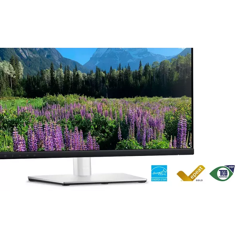 DELL P2424HEB 60.5 cm (23.8 inch) LCD 1920 x 1080 pixels Full HD
