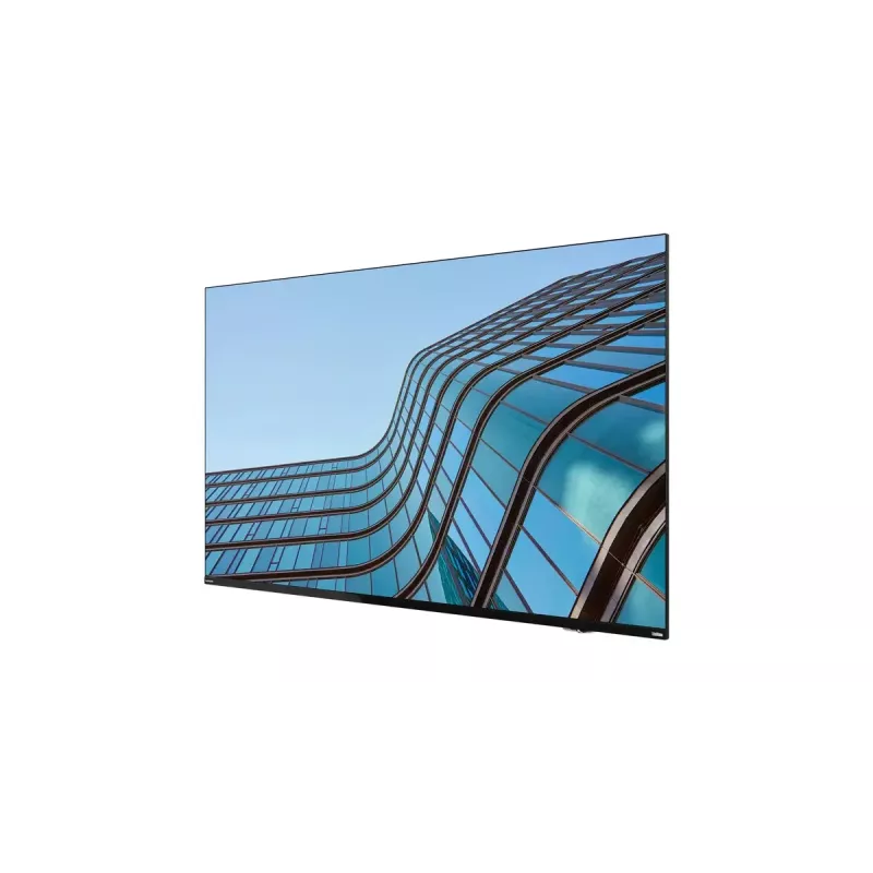 Lenovo ThinkVision E55 LFD computer monitor 138.7 cm (54.6 inch) 3840 x 2160 pixels 4K Ultra HD IPS Black