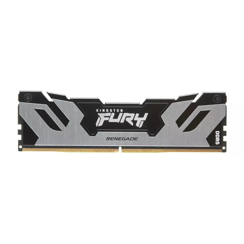 Kingston Technology FURY 32GB 8000MT/s DDR5 CL38 DIMM (Kit of 2) Renegade Silver XMP