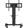 iiyama MD CAR1021-B1 monitor mount / stand 2.18 m (86 inch) Floor Black