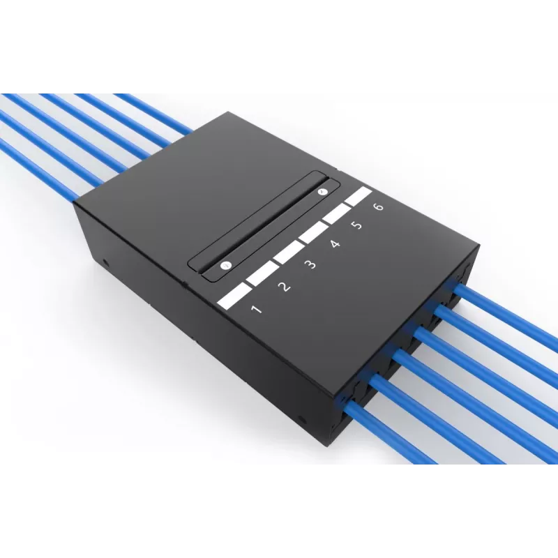 DIGITUS Consolidation Point Box - 6 ports Keystone modules with smart cable manager