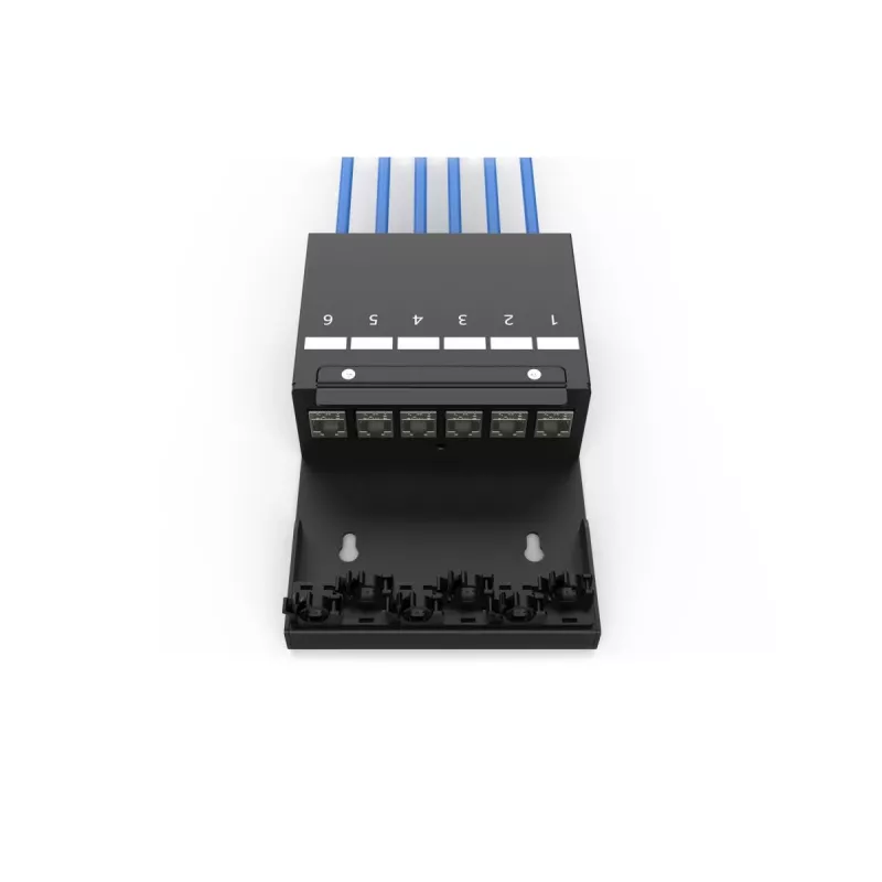 DIGITUS Consolidation Point Box - 6 ports Keystone modules with smart cable manager