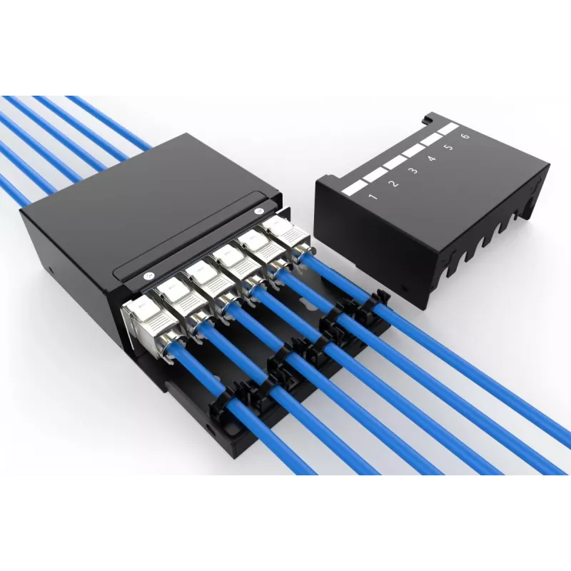 DIGITUS Consolidation Point Box - 6 ports Keystone modules with smart cable manager