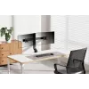 Neomounts FPMA-D860DBLACK Monitor arm 10-27 inch