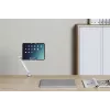 Neomounts DS15-545WH1 Tablet holder desk clamp 4.7-12.9 inch - universal - full motion